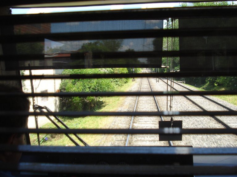 DSC09233.JPG