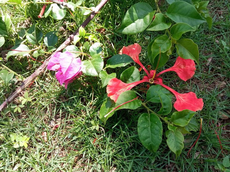 IMG_20250513_104409.jpg
