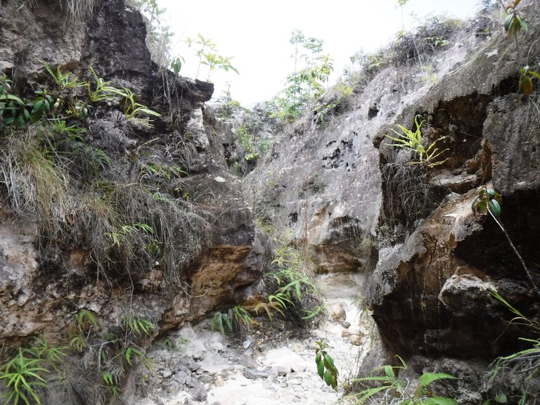 DSCF5533.JPG
