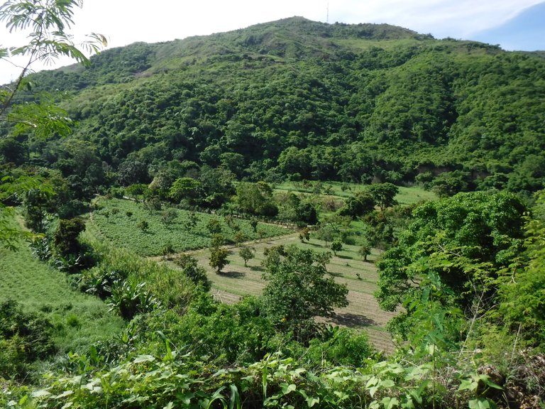 DSCF6565.JPG