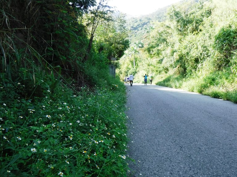 DSCF7197.JPG