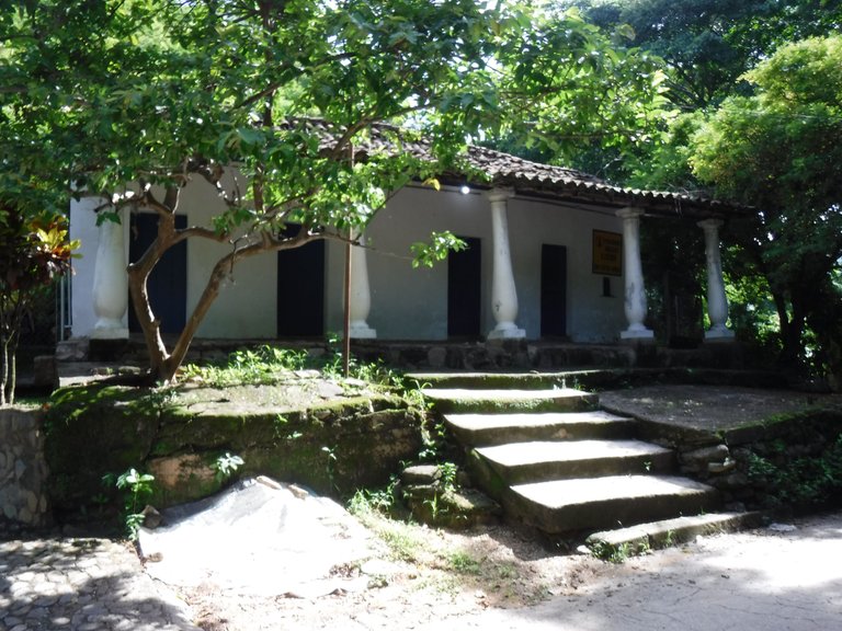 DSCF6584.JPG