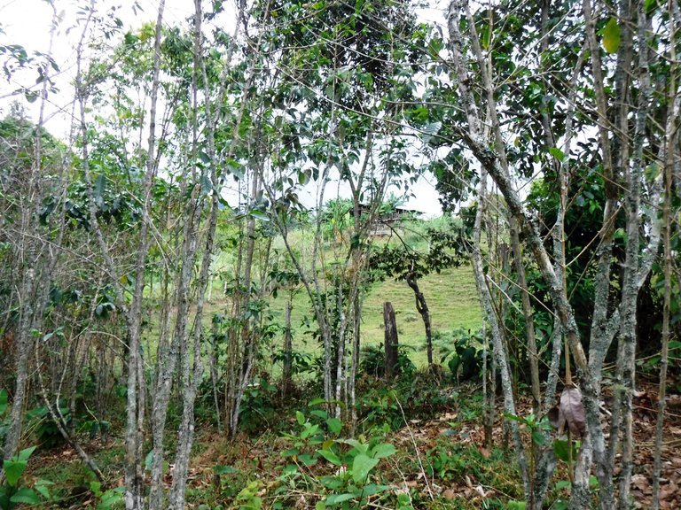 DSCF1158.JPG