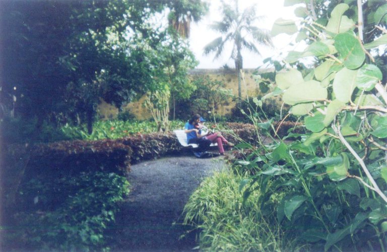 114 - Jardín Botánico - Puerto de la Cruz.jpg
