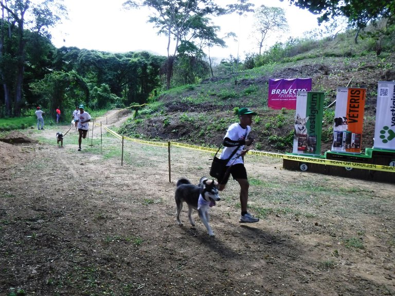 DSCF6354.JPG