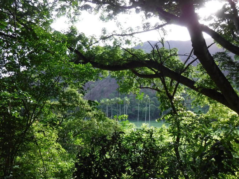DSCF6533.JPG