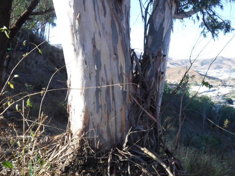DSCF6012.JPG