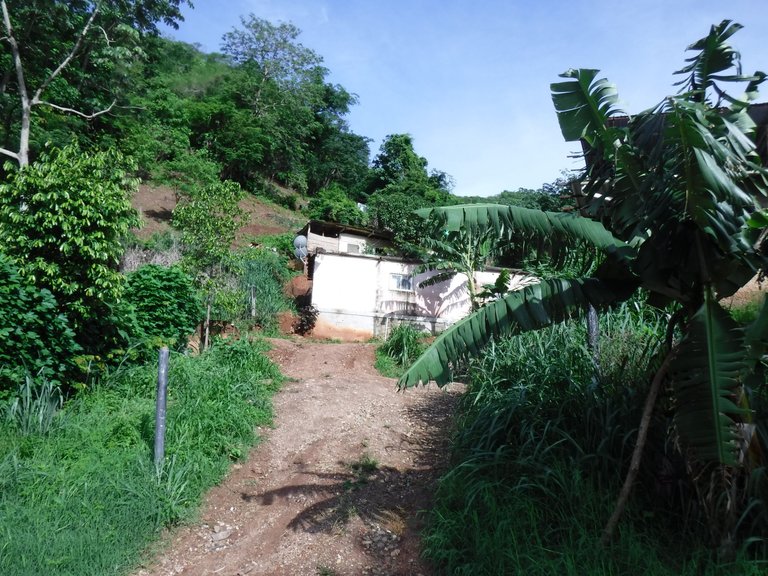 DSCF6546.JPG