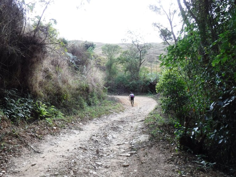 DSCF4923.JPG