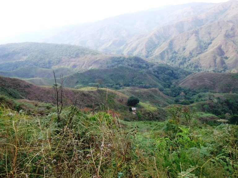 DSCF8162.JPG
