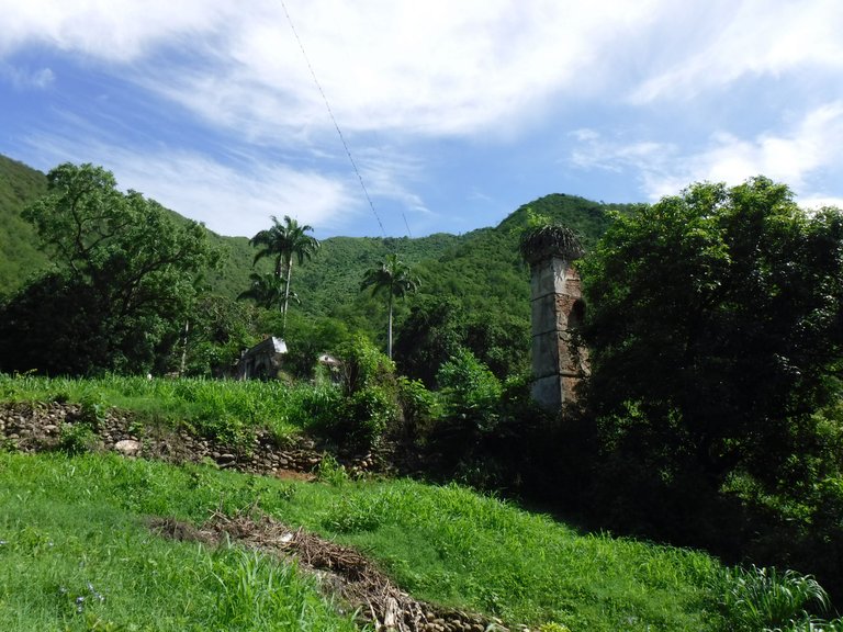 DSCF6600.JPG