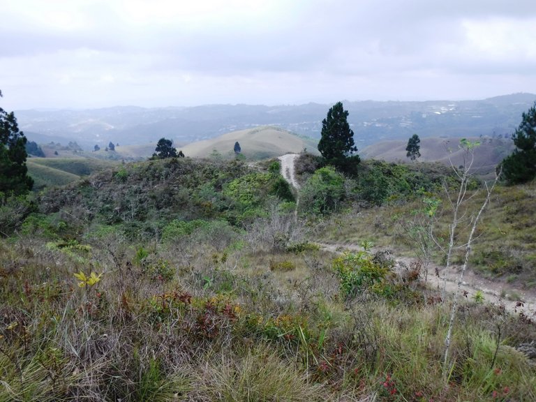 DSCF5484.JPG