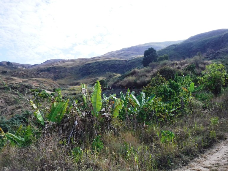 DSCF4913.JPG