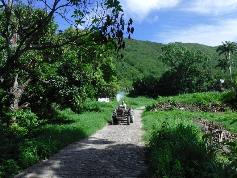 DSCF6599.JPG