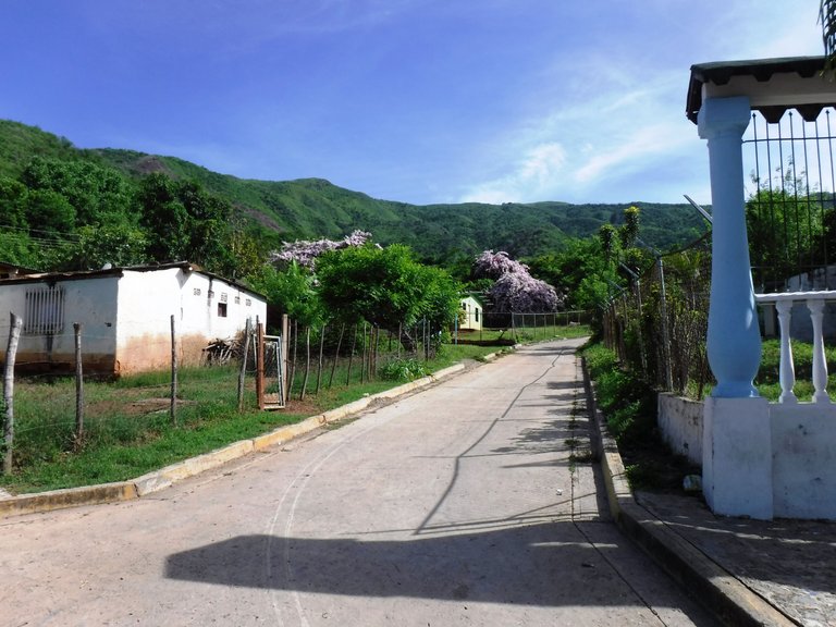 DSCF6570.JPG