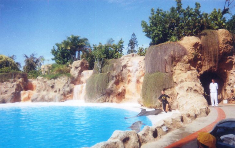 101 - Show de delfines - Loro Parque.jpg