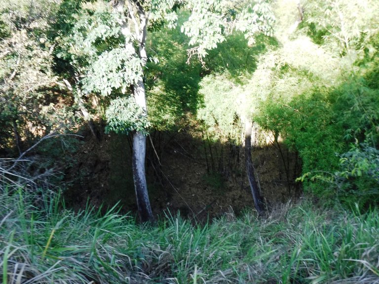 DSCF6023.JPG