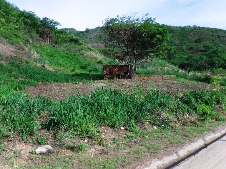 DSCF6537.JPG