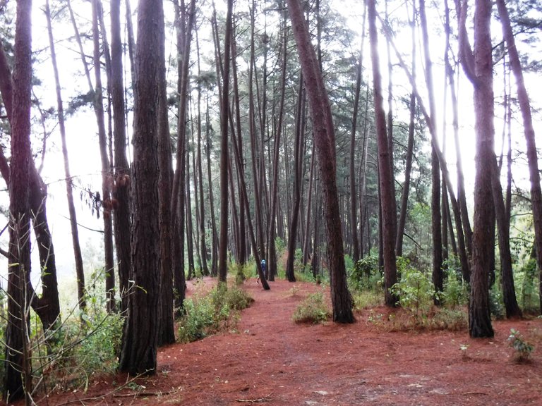 DSCF5455.JPG