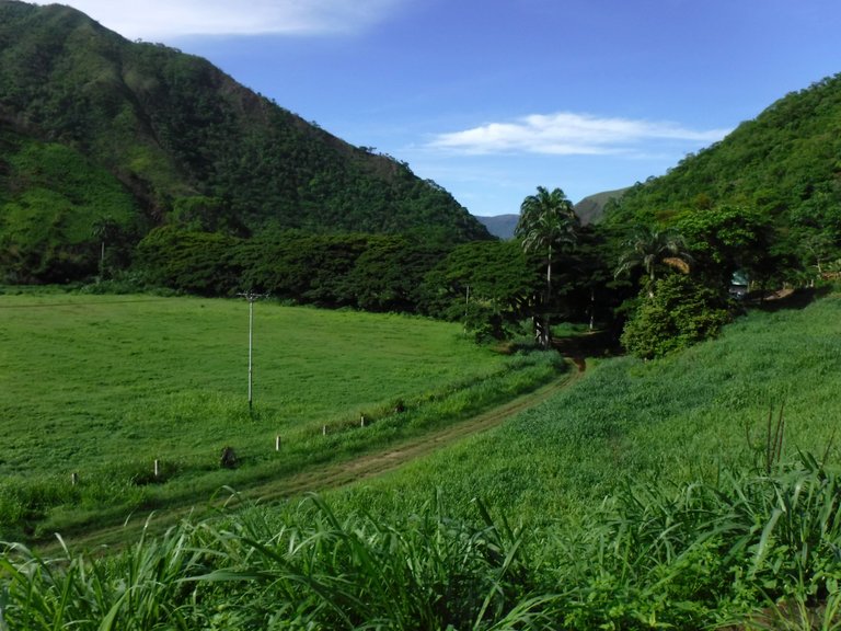 DSCF6550.JPG