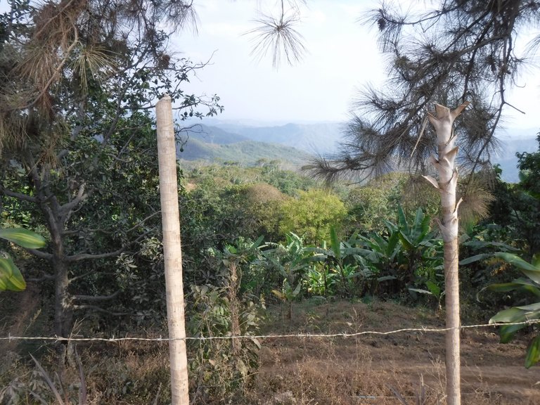 DSCF8175.JPG