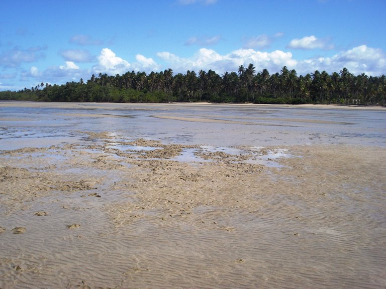 148.JPG