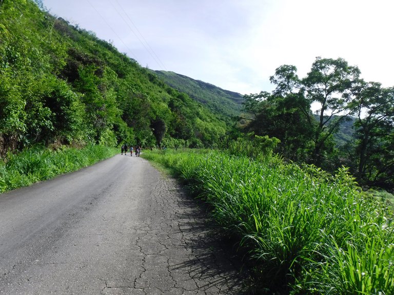 DSCF6557.JPG
