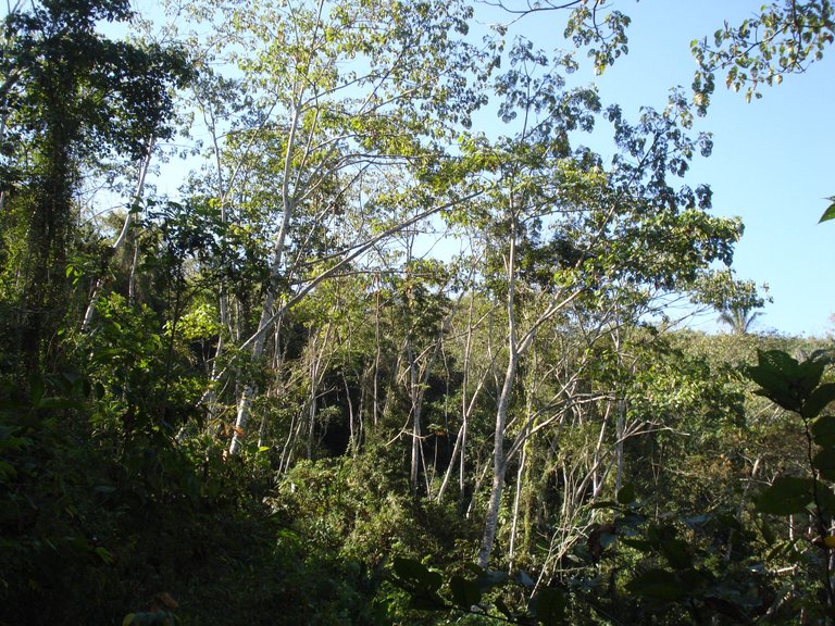 DSC05080.JPG