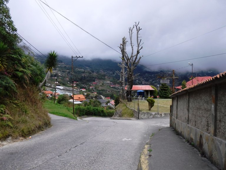 DSCF4979.JPG