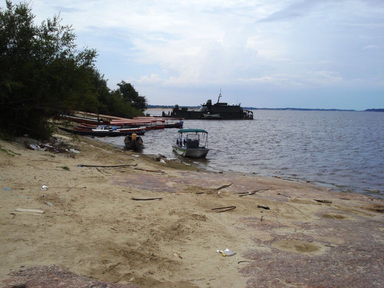 256 Amazonas - Casuarito.JPG