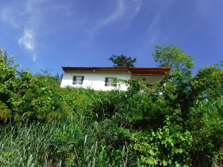 DSCF6567.JPG
