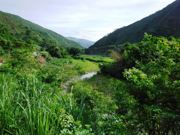 DSCF6535.JPG