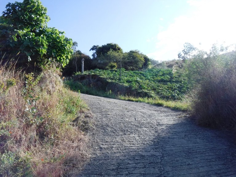 DSCF4910.JPG