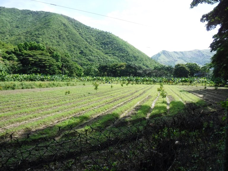 DSCF6589.JPG