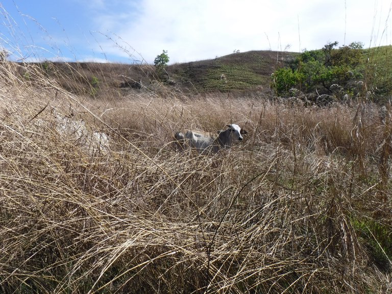DSCF6051.JPG