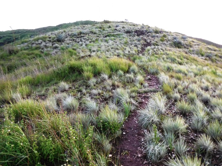 DSCF5648.JPG