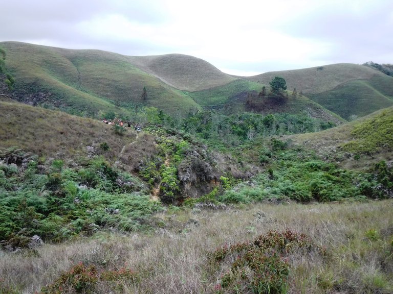 DSCF5562.JPG
