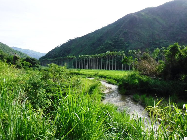 DSCF6536.JPG
