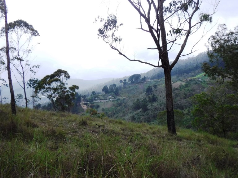 DSCF5566.JPG