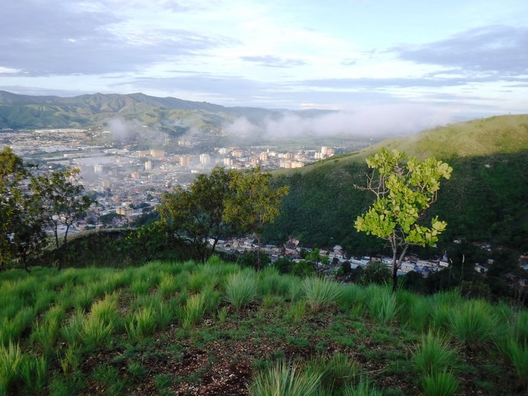DSCF5653.JPG