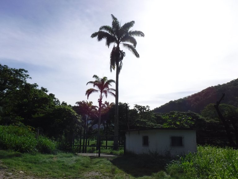 DSCF6545.JPG