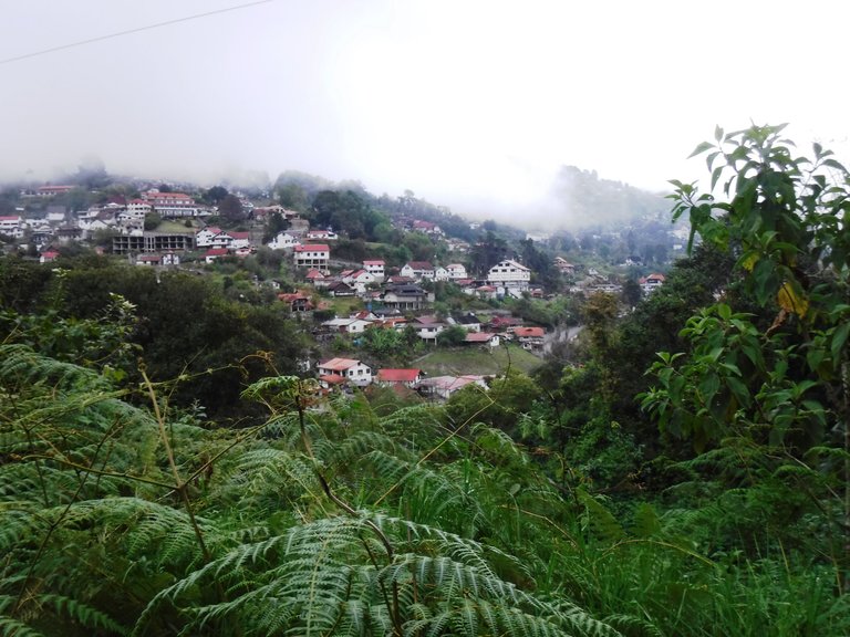 DSCF4985.JPG