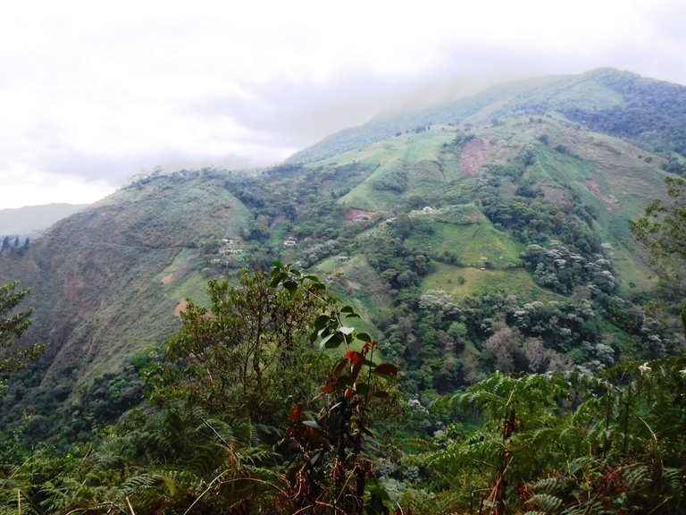 DSCF1171.JPG