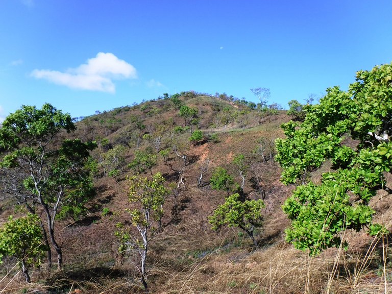 DSCF6032.JPG