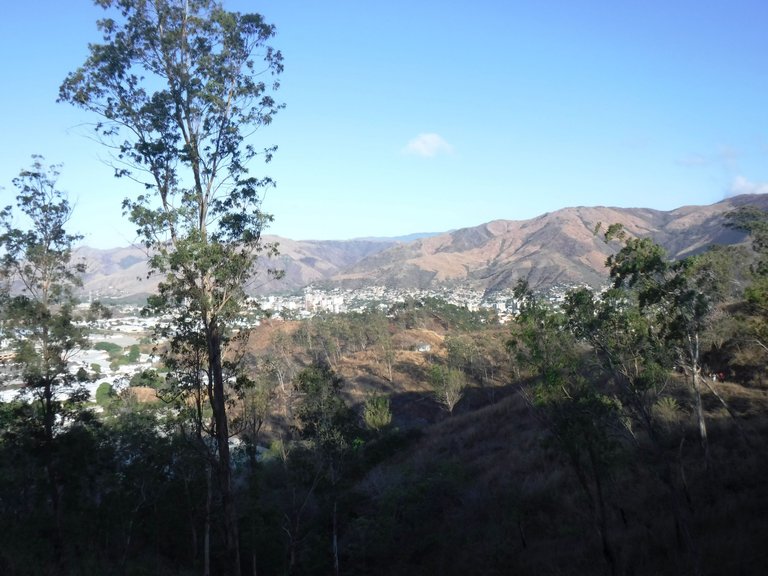 DSCF6010.JPG