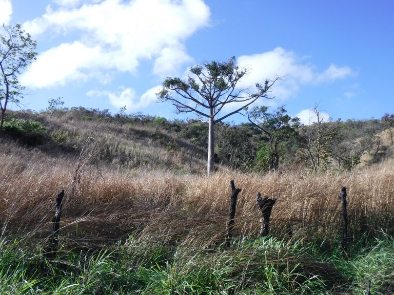 DSCF6028.JPG