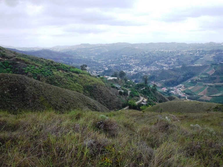 DSCF5571.JPG