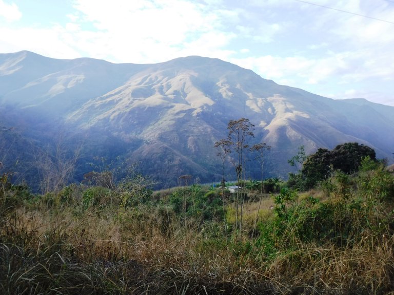 DSCF4883.JPG