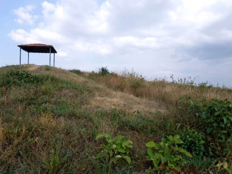 DSCF7956.JPG
