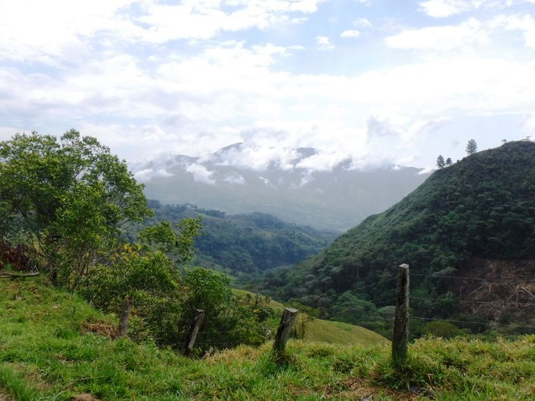 DSCF1145.JPG